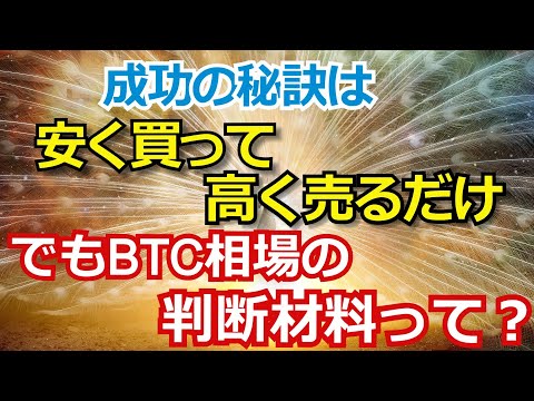 成功の秘訣は「安く買って高く売る」けどビットコイン相場の「安い高い」の判断材料ってなんだ？