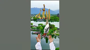 الله على الجمال المنظر اللهم امين يارب العالمين 