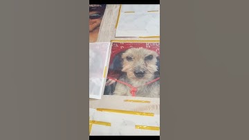 Sublimation blankets