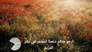 قران كريم بصوت جميل يريح القلب||عائلة ذاكرة||سوره الضحى