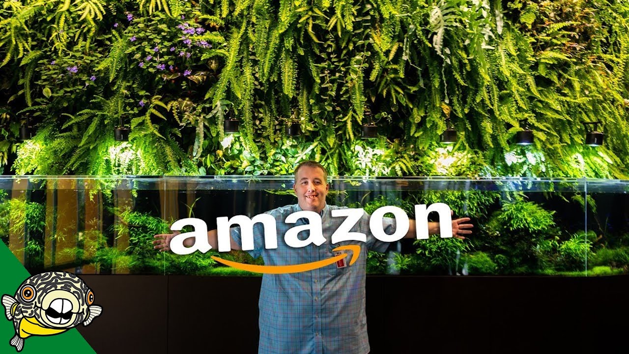 tropical fish minecraft use The Amazon Biospheres - Crazy Fish Tanks!