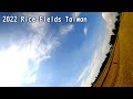 Paddy Fields in Taiwan: ver 2022 0724