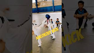 headshot knockout kick #taekwondo #headshot #kick #viral #reels #youtubeshorts #shorts #sports #gym