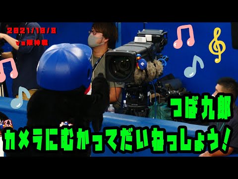 つば九郎　カメラに向かってだいねっしょう！　2021/10/8　阪神タイガース