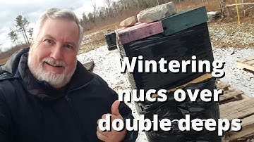 Winterizing 2 nucs over double deep