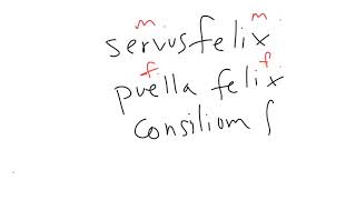 Latin 3rd Declension Adjectives