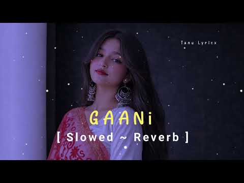 Gaani Song 🤍🌸 || Slowed ~ Reverb || Full Song || @tanu_lyricx ||
