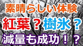 白岩山で奇跡の体験!【宮崎県・白岩山編】 Mt.Shiraiwa
