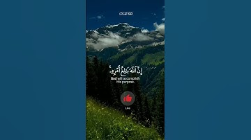 #قران_كريم #اكسبلور #quran #دويتو #تلاوة_خاشعة #حالات_واتس #ريلز #duet #قرآن #يوتيوب #ماهر_المعيقلي