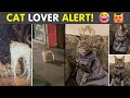 Funny & Cute Cat Memes Every Cat Lover Will Instantly Fall For 😻🐱