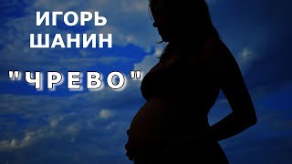 видео:  картинка: