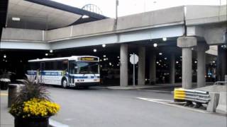 Logan Express #218 (and a Massport bus)