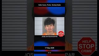 Collier County, Florida Booking Records - 17 May 2026