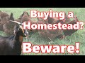 1 Thing You Need To Know Before You Buy A Homestead