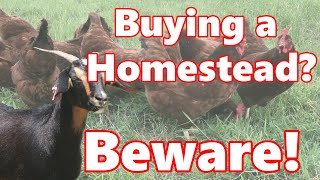 1 Thing You Need To Know Before You Buy A Homestead