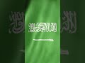 Saudi Arabia Flag 🇸🇦 Waving {FREE DOWNLOAD}