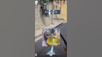 #shorts cs2 catcore edit #csgo #cs2 #cats #cat #gaming #foryou