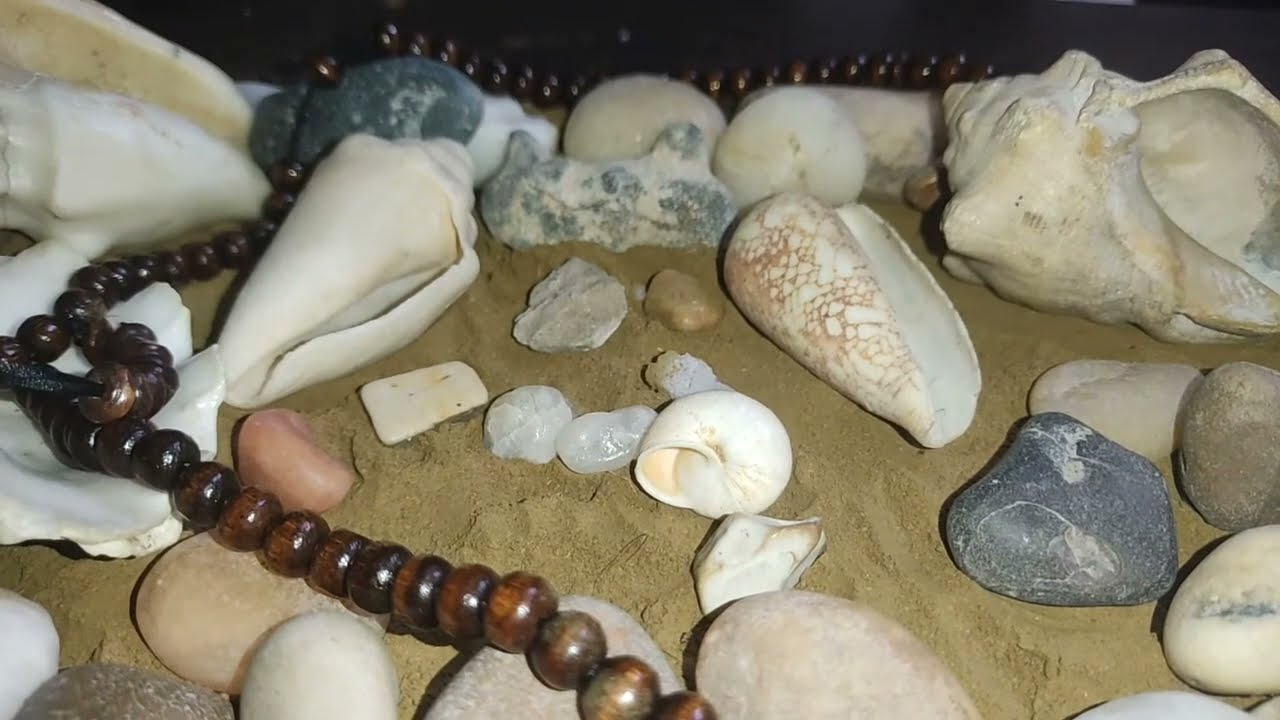 برج الميزان ♎ راجع يطلب فتح الباب بداية الفرح والتفاؤل صدمة وعى بتغير حياتك #القارئه_ام_احمد