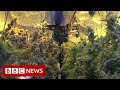 Cannabis boom: Why Oklahoma is a 'wild wild west' - BBC News