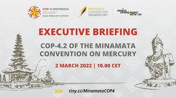 Executive Briefing on the Minamata Convention on Mercury