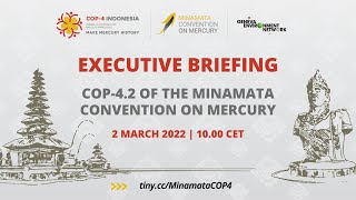 Executive Briefing On The Minamata Convention On Mercurys Conference Of Parties Cop-42