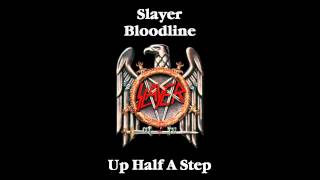 Slayer - Bloodline Drop D / D Standard