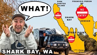 THIS STOPPED OUR TRAVELS|Shark bay - WA