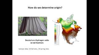 Migration monitoring data put to work