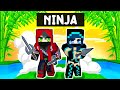 Playing as a NINJA in Minecraft!