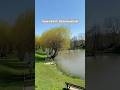 Ref:32nZIWXW9OA Tournan-en-brie (77) : histoire d une petite ville #tournanenbrie #visiteguid�e #voyageeniledefrance