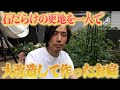 【大変貌】更地から1年でここまで作った園芸初心者がスゴすぎた!!!【個人庭】【ガーデニング】【園芸】【園芸初心者】【じゅんぺい君】