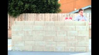 Recreation Of Eric Orrs Wall Shadow