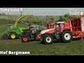 Feeding Calf & Cows, Making Silage from Clover │Hof Bergmann│FS 19│Timelapse#06