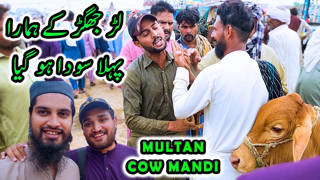 First DEAL Done at Multan Cow Mandi | Cattle Market Karachi