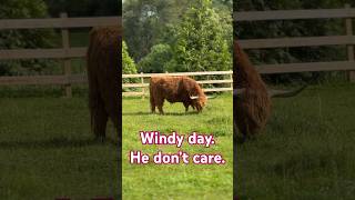 High wind warning.