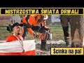 DRWAL NA MEDAL - KAMIL SZARMACH || Występy Polskiej Kadry - Ścinka na pal || WLC 2024 Wiedeń (odc.1)