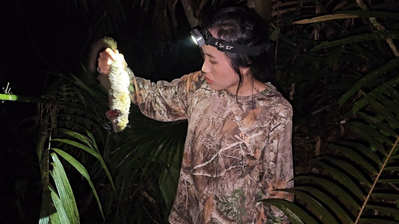 Forest life. Lub neej hav zoov. @tubyej.hunting6098 