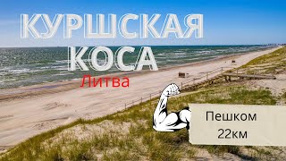 Жизнь в Литве/Куршская коса пешком/ Йодкранте/море/Настоящий янтарь