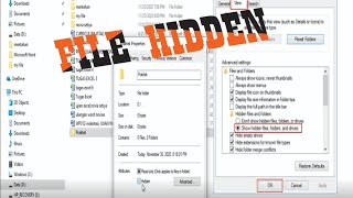 CARA KEMBALIKAN FILE YG TERSEMBUNYI (HIDDEN) screenshot 4