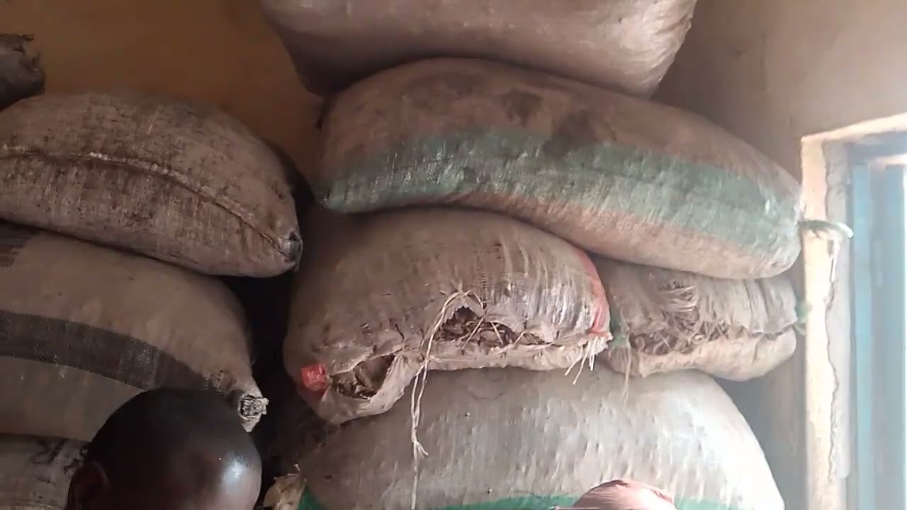 Groundnut cake for animals feed production available from Northern Nigeria 