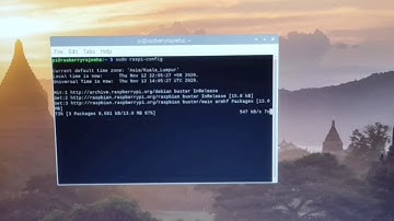 EMC 311 Mechatronics ( Raspberry Pi Microcontroller Simulation )_TEAM 22