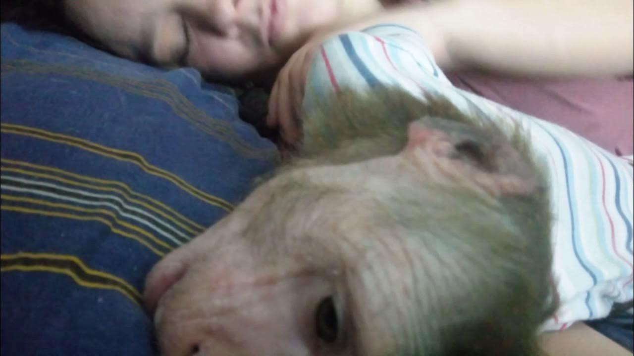 Маленькая подлиза Ульяна - YouTube