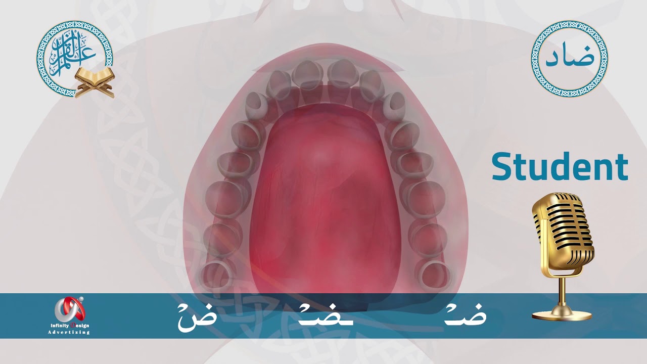 The Articulation Point of Letter ضْ | Makhrage Hrouf مخرج حرف ضْ | ضْ ...