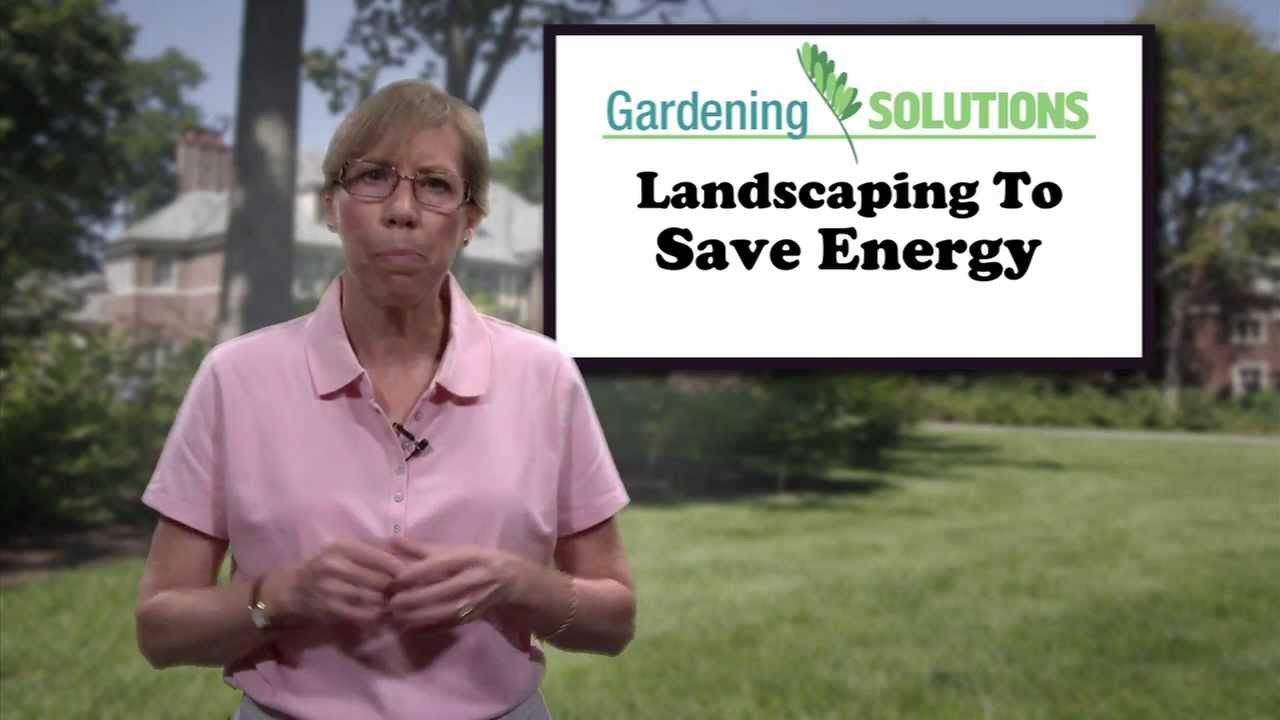 Gardening Solutions - Landscaping to Save Energy