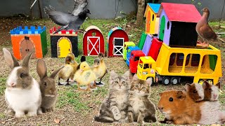 Truk hewan angkut kucing, kelinci lucu, marmut, bebek, itik, burung, burung merpati, sapi moo