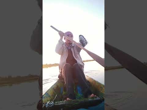 ผลสลากกินแบ่งรัฐบาล วันที่ 1 พย. 2567