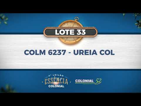 LOTE 33   COLM 6237