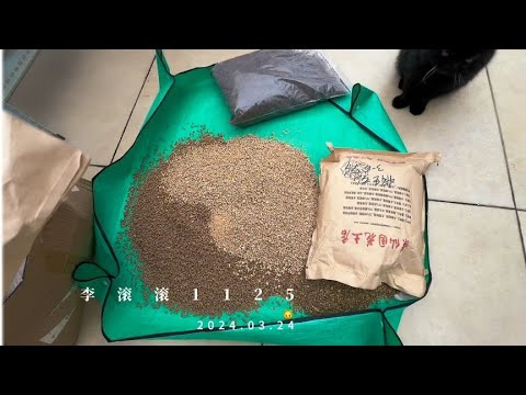 李滚滚：很多肉友问我的多肉配土，今天就再来分享一下我自己用的配土教程｜室内养多肉