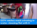 Shocking: Maid Caught on Camera Mopping Floor with Urine in Greater Noida's Housing Society