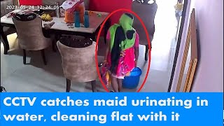 Shocking Maid Caught On Camera Mopping Floor With Urine In Greater Noidas Housing Society